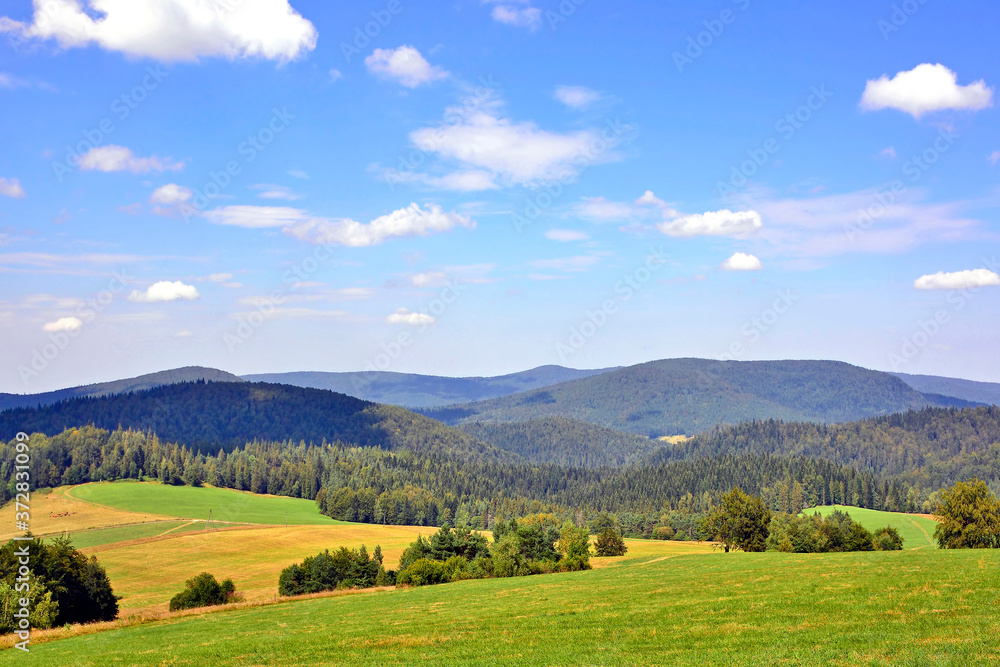 Obraz premium Summer landscape in the mountains with green meadows and forested hills, Low Beskids (Beskid Niski), Poland 