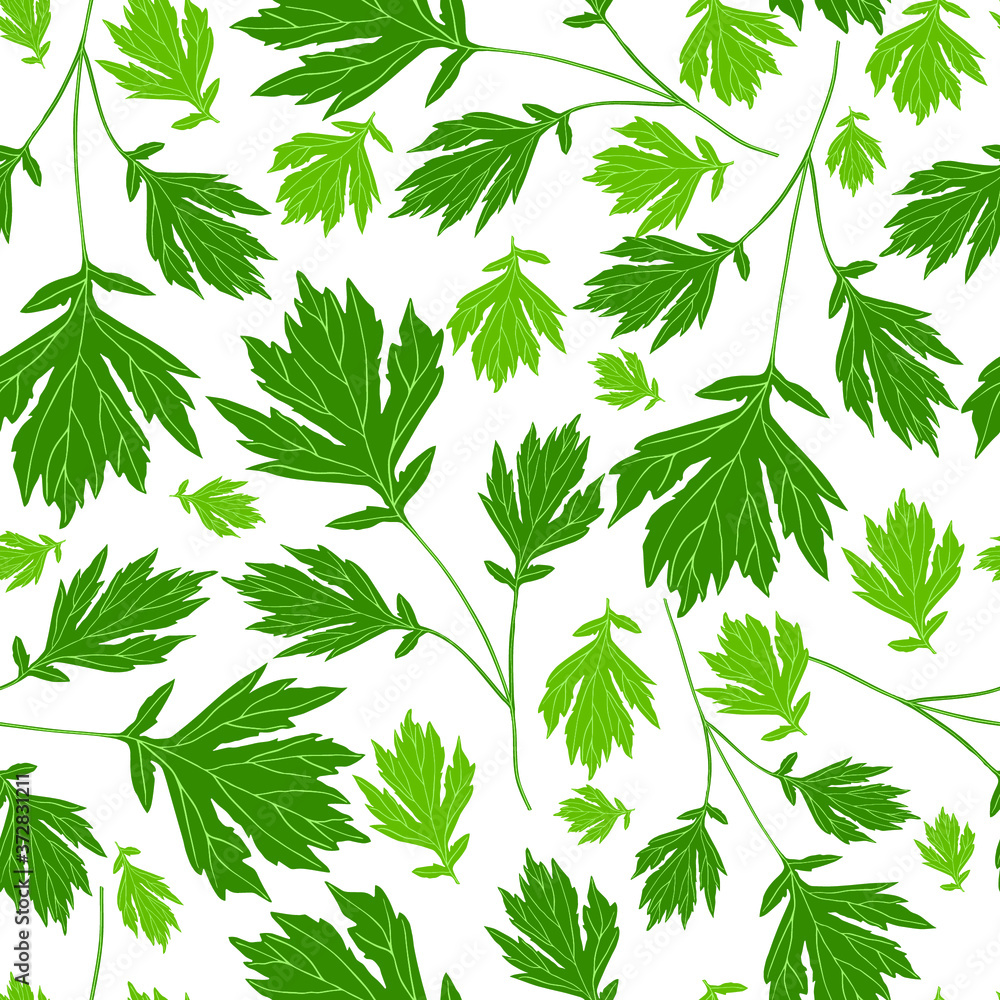 Green leaves on a white background. Floral seamless pattern. Vector. Green leaves on a white background. Floral seamless pattern. Vector.