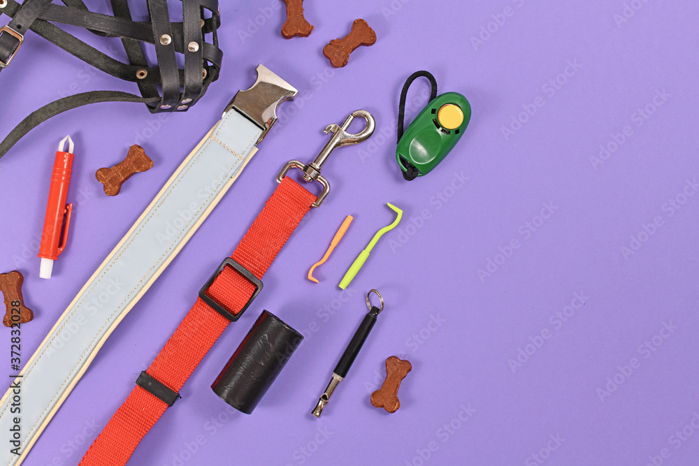 Flat lay with various dog supplies including leash, collar, nail
