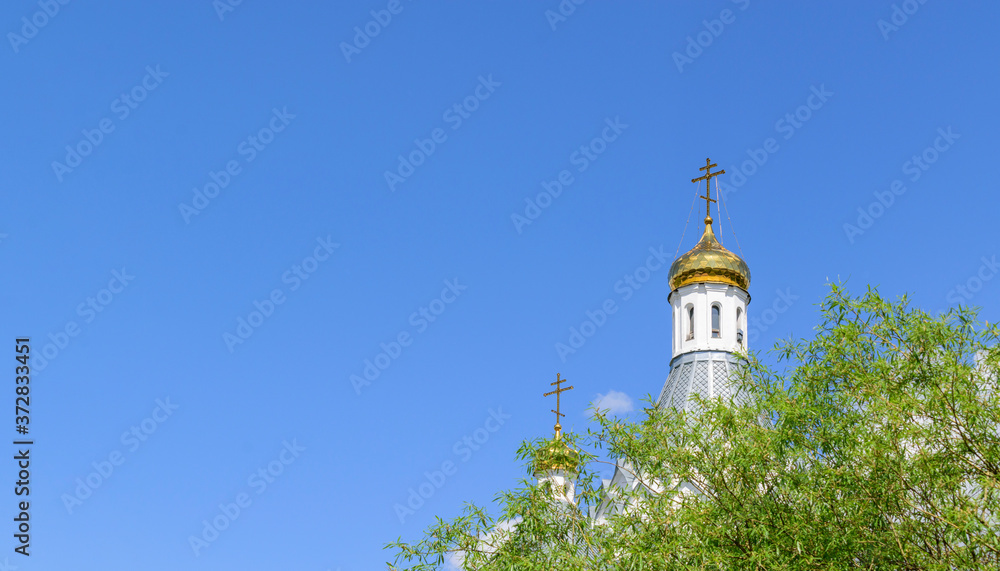 Gilded domes of the Russian Orthodox Church. Christian crosses. White facade. Green branches. Background - blue sky.