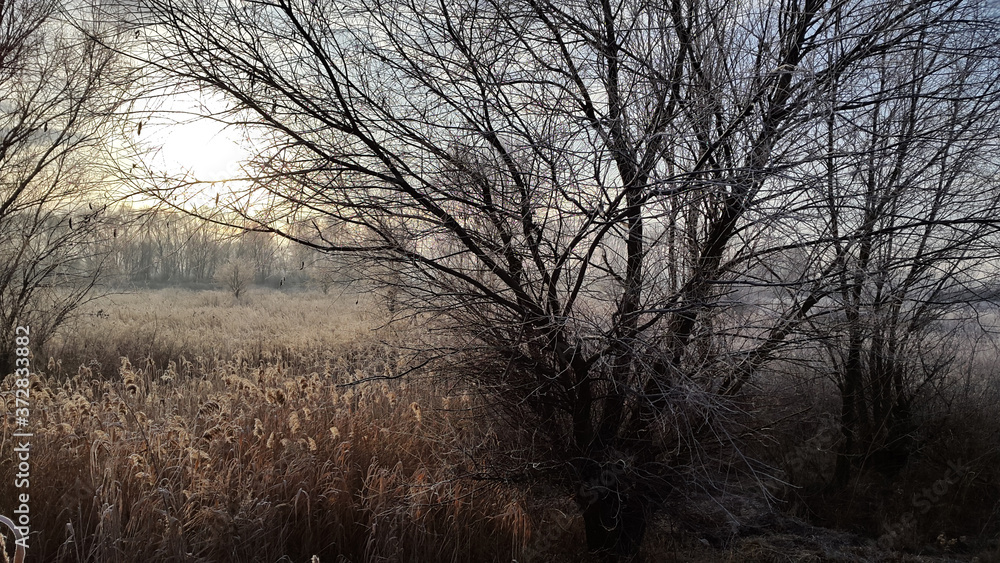 Frosty winter morning. Nature. Country landscape. Cold winter morning Frosty winter morning. Nature. Country landscape. Cold winter morning