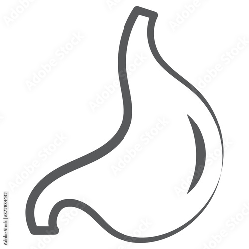 
Stomach icon in doodle vector, human digestive organ 
