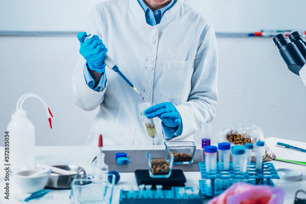 Fototapeta premium Pet Food Testing Laboratory