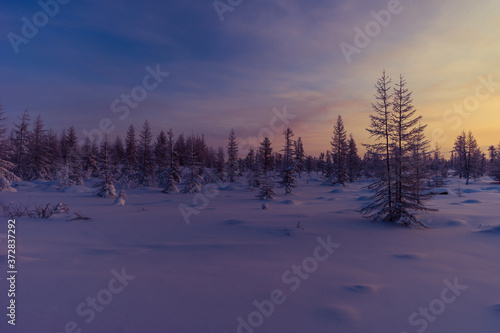 Beautiful Winter Background. Wintertime Wallpaper. Snow-covered trees close up outdoors with selective focus. Nature. © Olonkho