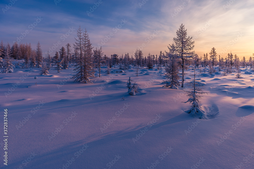 Winter lanscape with sunset, trees and cliffs over the snow. Winter snowscape with forest, trees and snowy cliffs. Blue sky. Winter landscape. Winter lanscape with sunset, trees and cliffs over the snow. Winter snowscape with forest, trees and snowy cliffs. Blue sky. Winter landscape.