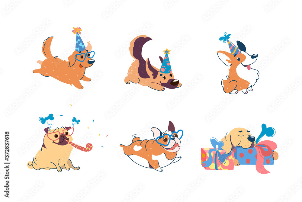 Dogs have a birthday. Puppies of different breeds at a party: Labrador, Corgi, German Shepherd, Pug, American Bulldog, Retriever. On dogs caps, glasses. Set in cartoon style for design of party