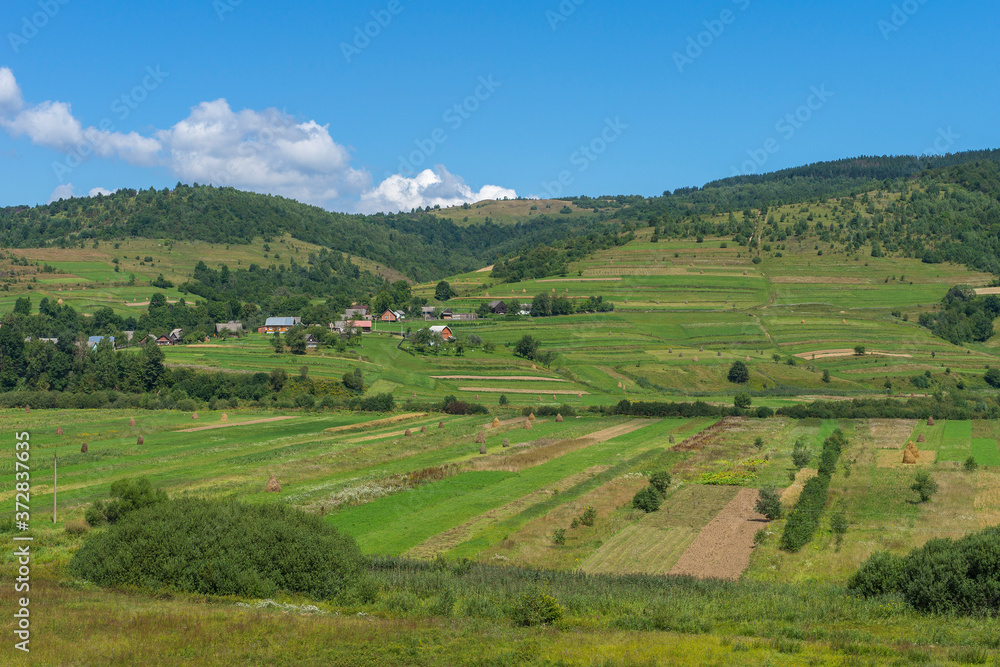 day countryside landscape. Stack of hay. Golden wheat ready for harvest growing in a farm field under blue sky. With a brilliantly detailed foreground