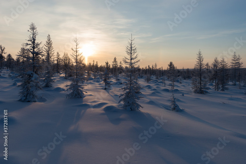 Beautiful Winter Background. Wintertime Wallpaper. Snow-covered trees close up outdoors with selective focus. Nature.