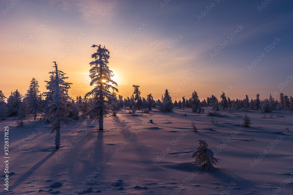 Winter snowscape with forest, trees and snowy cliffs. Blue sky. Winter landscape. Christmas background