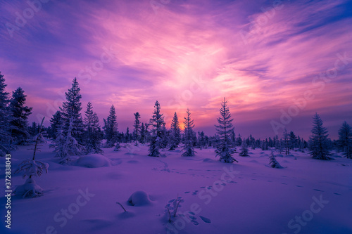 Winter snowscape with forest, trees and snowy cliffs. Blue sky. Winter landscape. © Olonkho