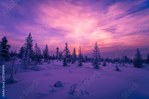 Winter snowscape with forest, trees and snowy cliffs. Blue sky. Winter landscape. Christmas background