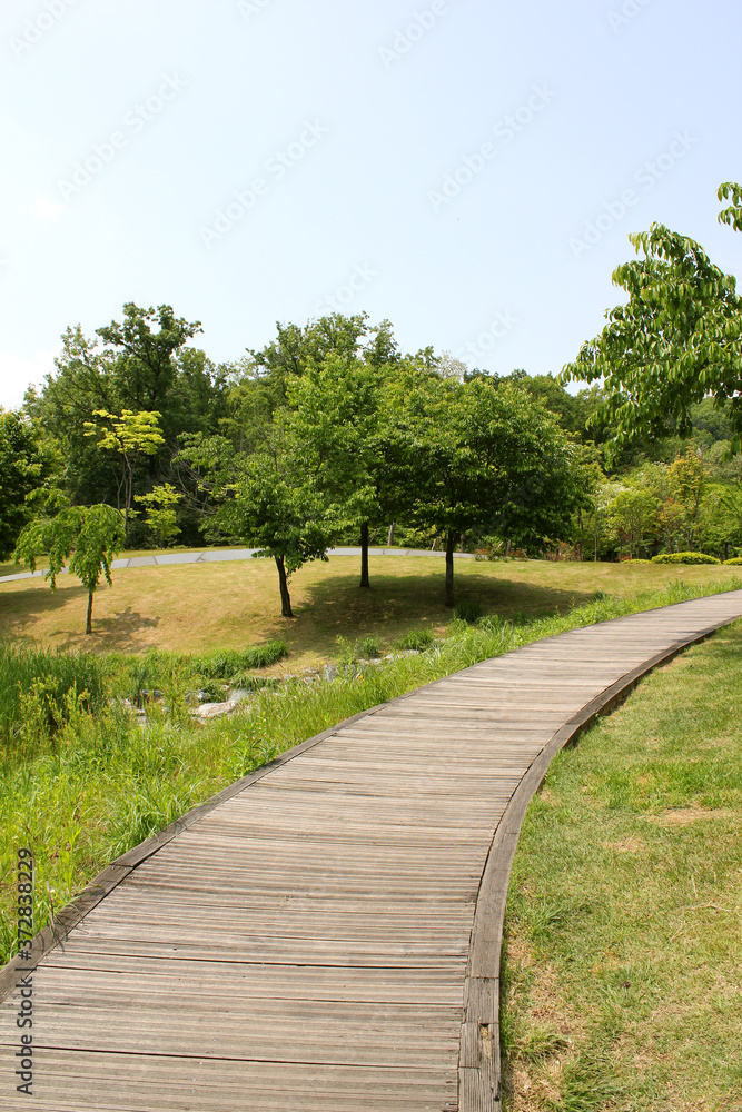 wooden trail and hill in the spring park. 
