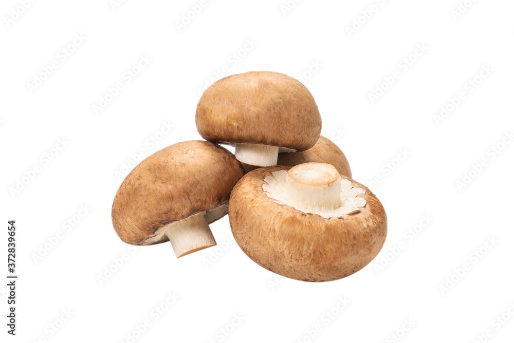 Tasty mushroom isolated on white background. Tasty mushroom isolated on white background.