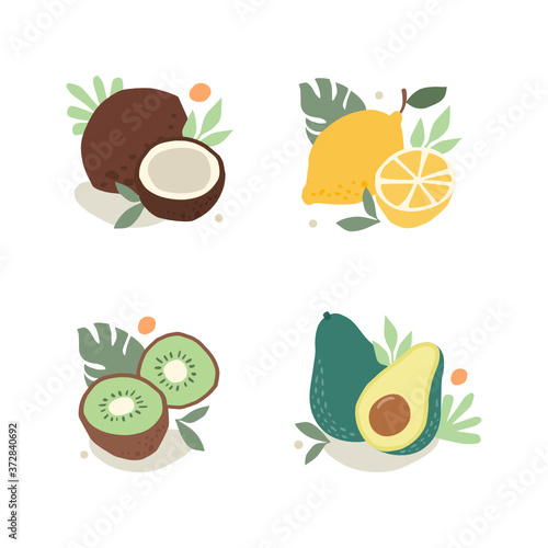 Hand drawn tropical and exotic fruits isolated on white background in unique trendy organic style. Vector illustration for menu design  packaging  cooking book. 