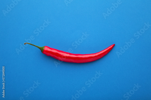 Single red chili pepper on blue background