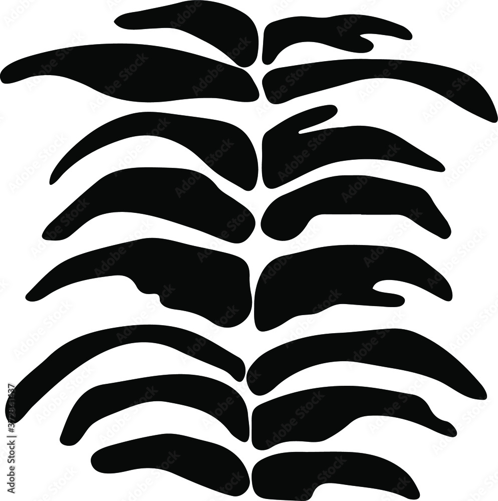 Vector animal pattern. Tiger texture Vector animal pattern. Tiger texture