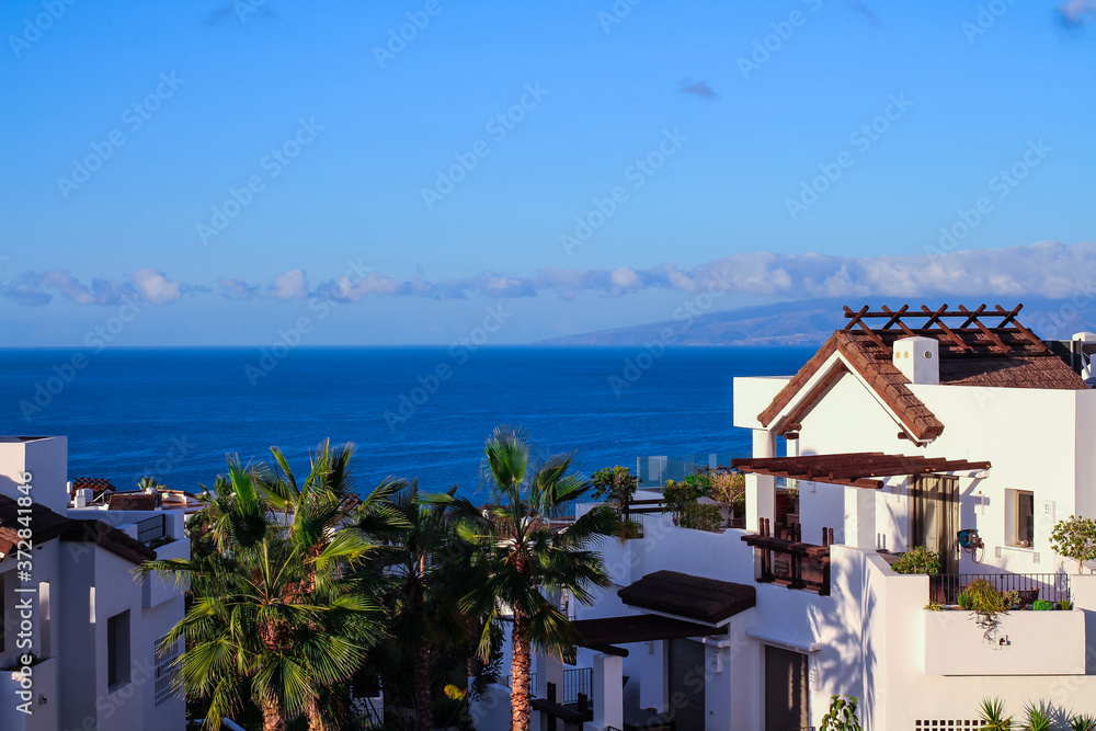 Obraz premium A tall palm tree and white houses with brown roofs against the ocean and blue sky. Gia de Isora, Tenerife, Spain