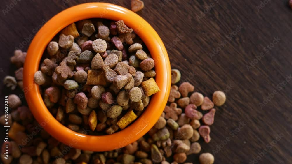 Orange bowl filled with dry pet food rotates on table Orange bowl filled with dry pet food rotates on table