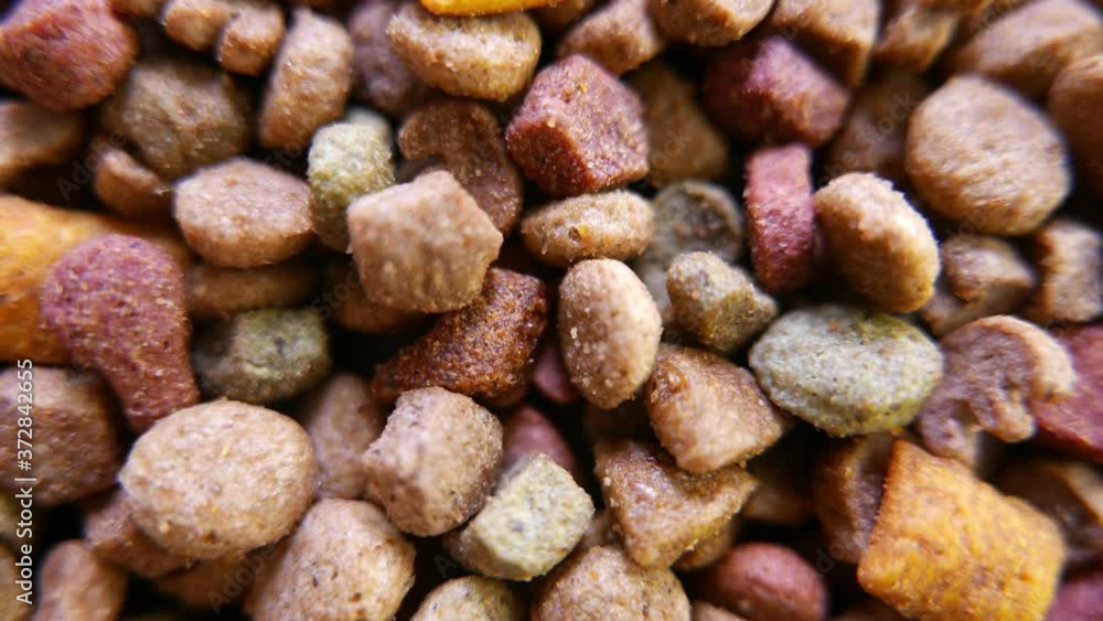 Close-up view of rotating dry pet food Close-up view of rotating dry pet food