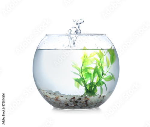 Splash of water in round fish bowl with decorative plant and pebbles on white background