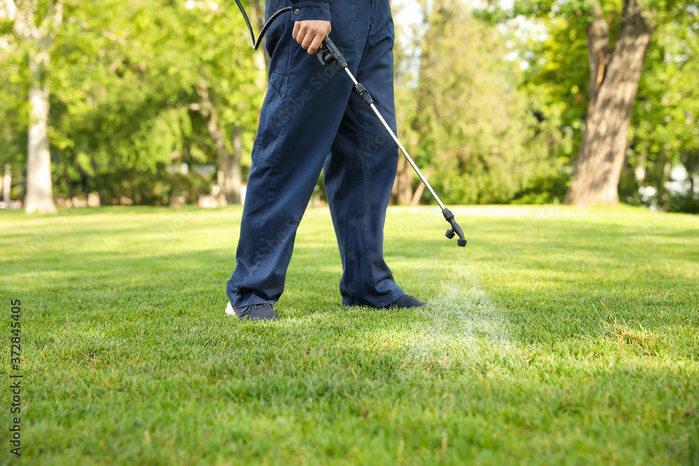 Worker spraying pesticide onto green lawn outdoors, closeup. Pest control Worker spraying pesticide onto green lawn outdoors, closeup. Pest control