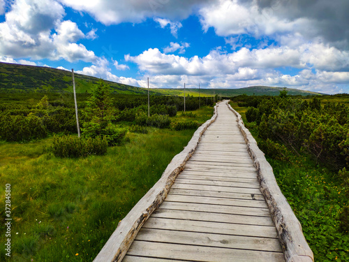 Wallpaper Mural wooden bridge in the mountains Torontodigital.ca