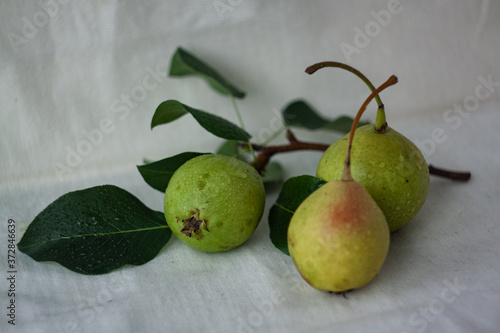 Wallpaper Mural Photo of three fresh pears with water droplets Torontodigital.ca