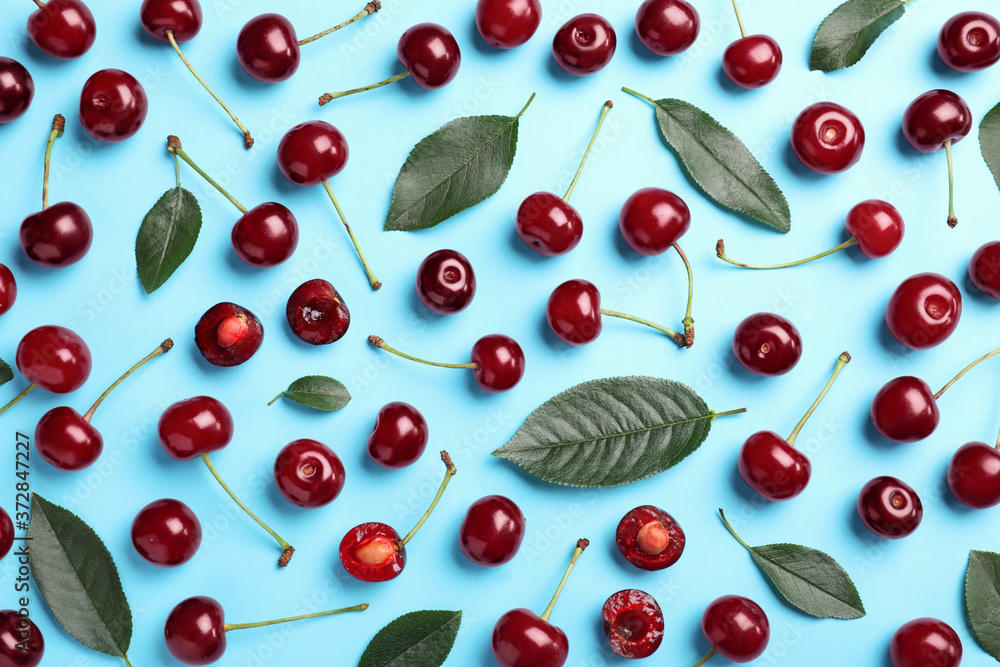 Sweet juicy cherries with leaves on light blue background, flat lay Sweet juicy cherries with leaves on light blue background, flat lay