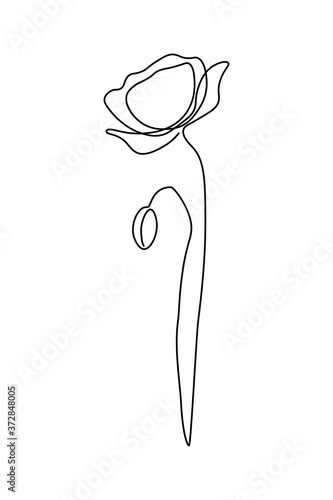 Beautiful poppy flower in continuous line art drawing style. Minimalist black linear design isolated on white background. Vector illustration