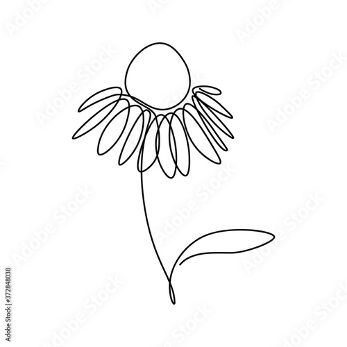 Echinacea flower in continuous line art drawing style. Coneflower minimalist black linear design isolated on white background. Vector illustration