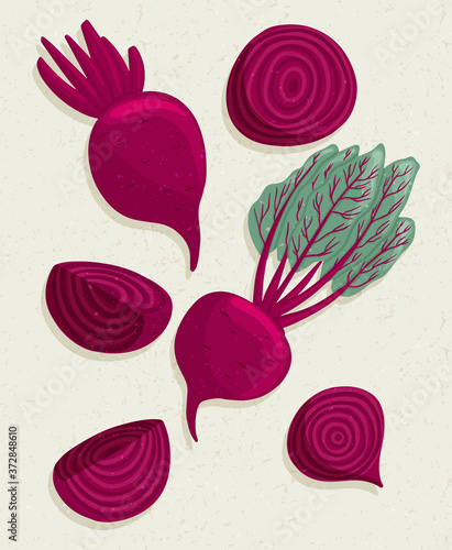 Vector beetroot cartoon illustration with textures. Healthy organic beets with leaves and beetroot slices.