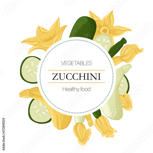 Vector courgettes and zucchini flowers round background in cartoon style for autumn farm market design.