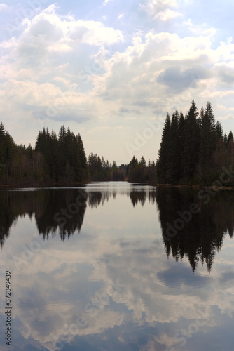 reflection of trees in the water © Lukáš Vacek