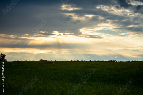 sunset over the field