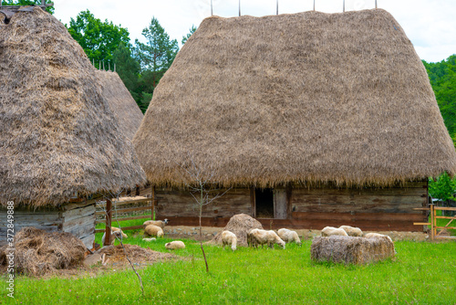 traditional wooden and clay house with thatched roof and wood