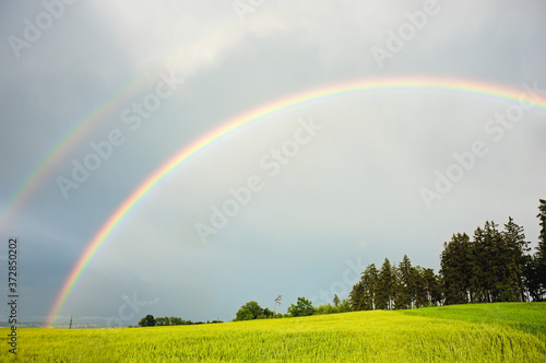Double rainbow above the small forest