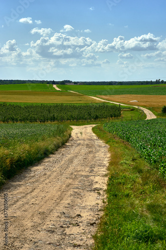 A winding road all the way to the horizon in the midst of Poland's summer countryside.