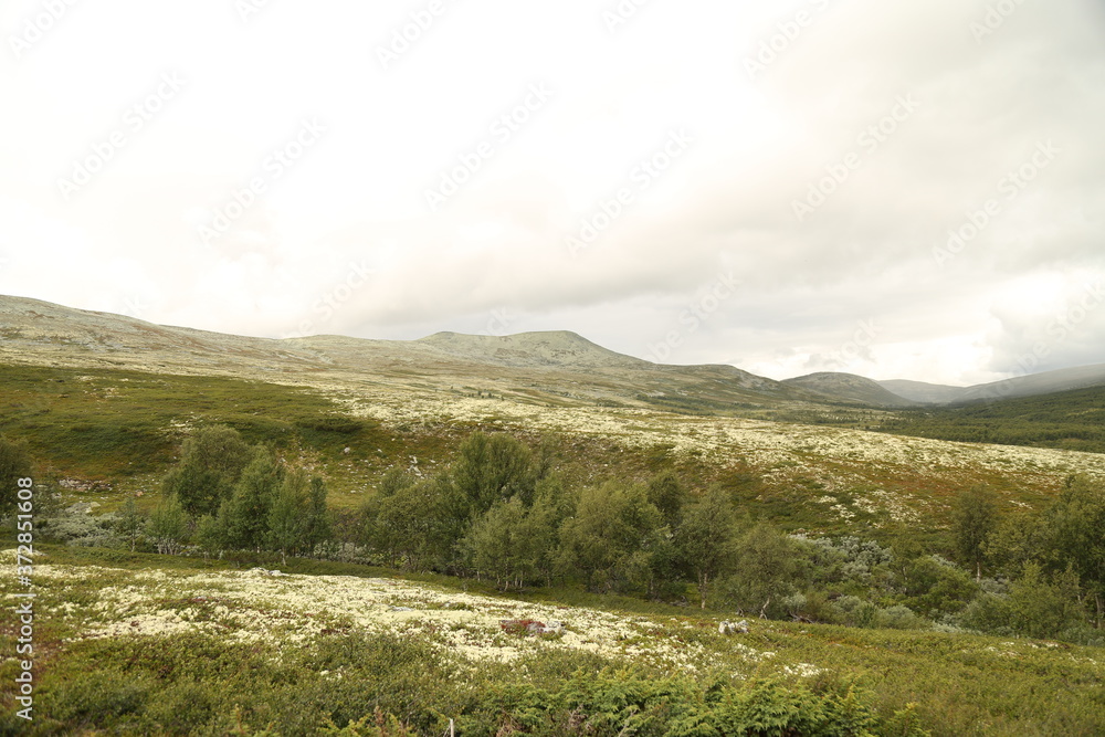 Norway's landscape