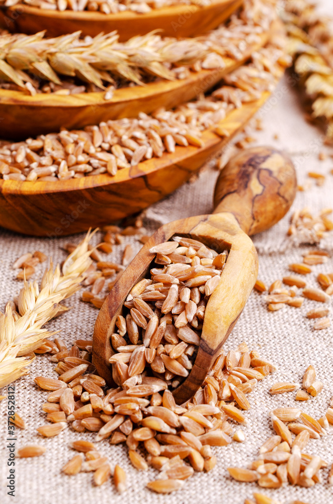 Brown peeled wheat grits on a textile background. Brown peeled wheat grits on a textile background.