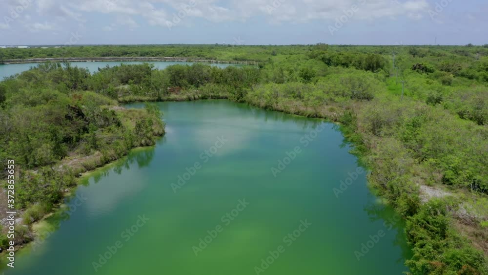 Majestic flight above Cap Cana calm green lagoon by tree forest and vegetation on blue sunny sky day, Dominican Republic, overhead aerial approach Majestic flight above Cap Cana calm green lagoon by tree forest and vegetation on blue sunny sky day, Dominican Republic, overhead aerial approach