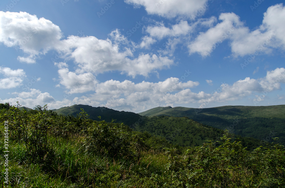 Tarnica z połoniny Dźwiniackiej - Bieszczady Tarnica z połoniny Dźwiniackiej - Bieszczady