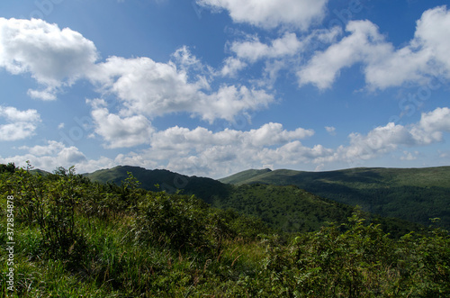 Fototapeta Naklejka Na Ścianę i Meble -  Tarnica z połoniny Dźwiniackiej - Bieszczady 