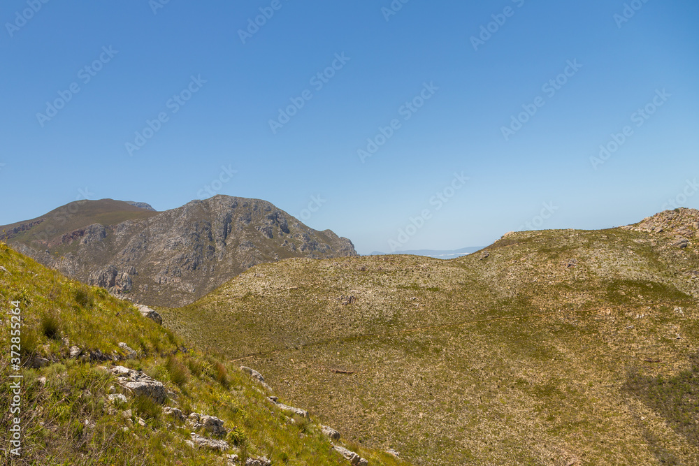 The magnificient landscape in the Fernkloof Nature Reserve, close to Hermanus, Western Cape, South Africa