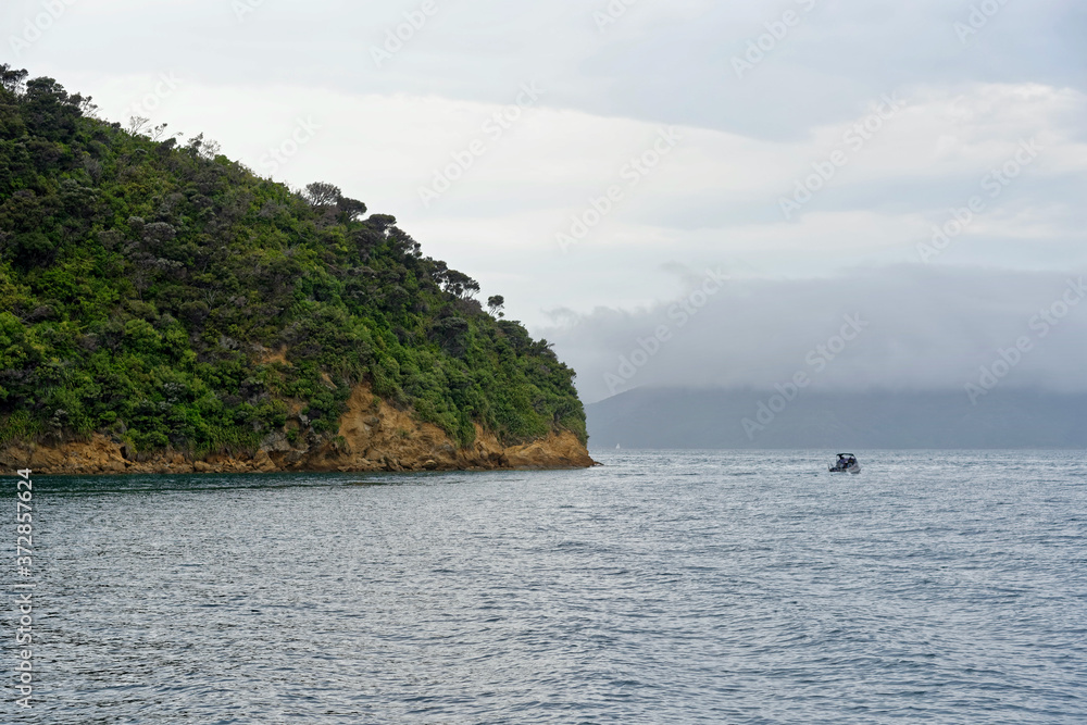 A foggy day in the Marlborough Sounds, in the South Island of New Zealand A foggy day in the Marlborough Sounds, in the South Island of New Zealand