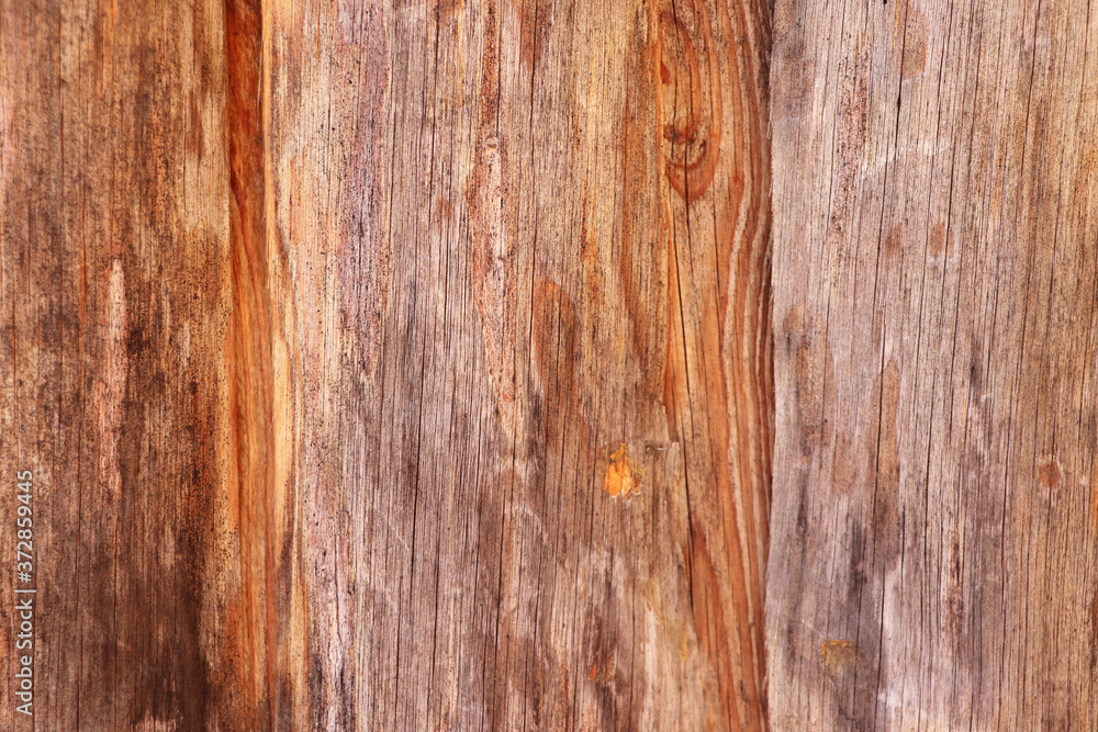 A wood background as a Close up. A wood background as a Close up.