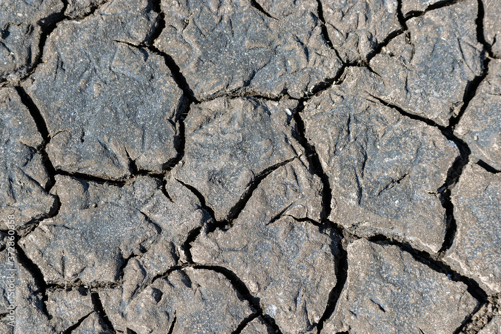 Cracked soil texture Cracked soil texture