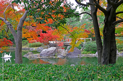 紅葉した秋の白鳥庭園 (名古屋)