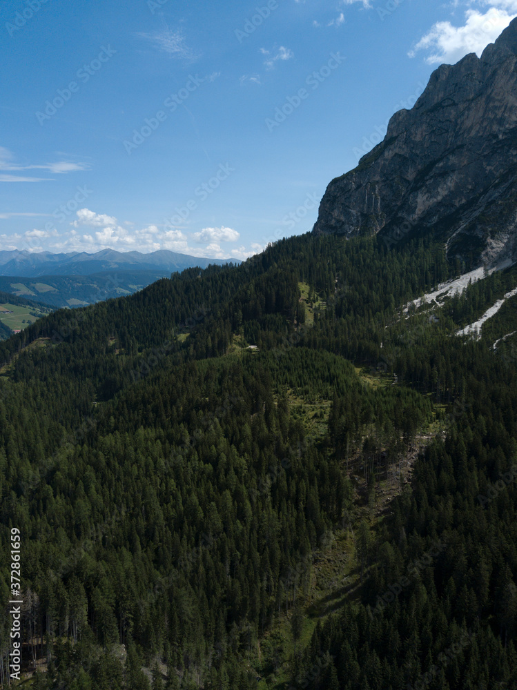 Fototapeta premium Aerial view of coniferous forest spruce trees on highland, Dolomites Alpine mountains. South Tyrol landscape Italy Europe. Summer. Travel