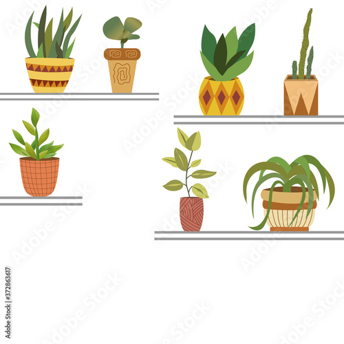 Green plants in flower pots on the shelves vector graphics space for text