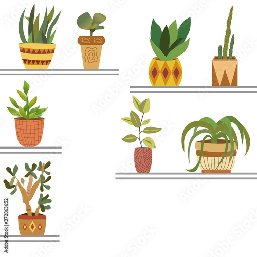 Green plants in flower pots on the shelves vector graphics